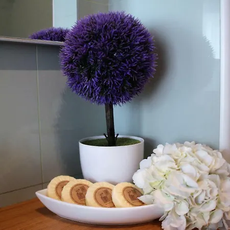 Anthero Quental Boutique Apartment *